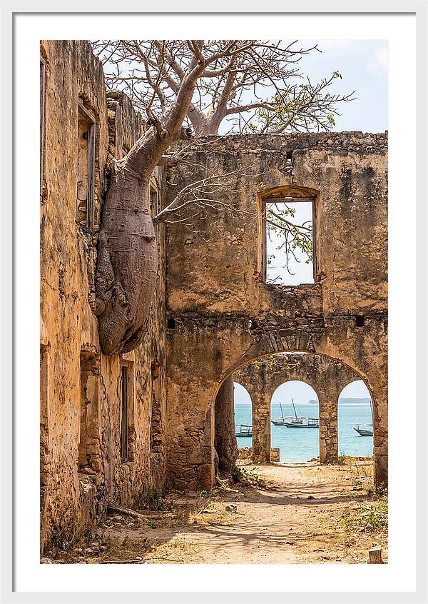Ibo Island Ruins Embraced By Nature