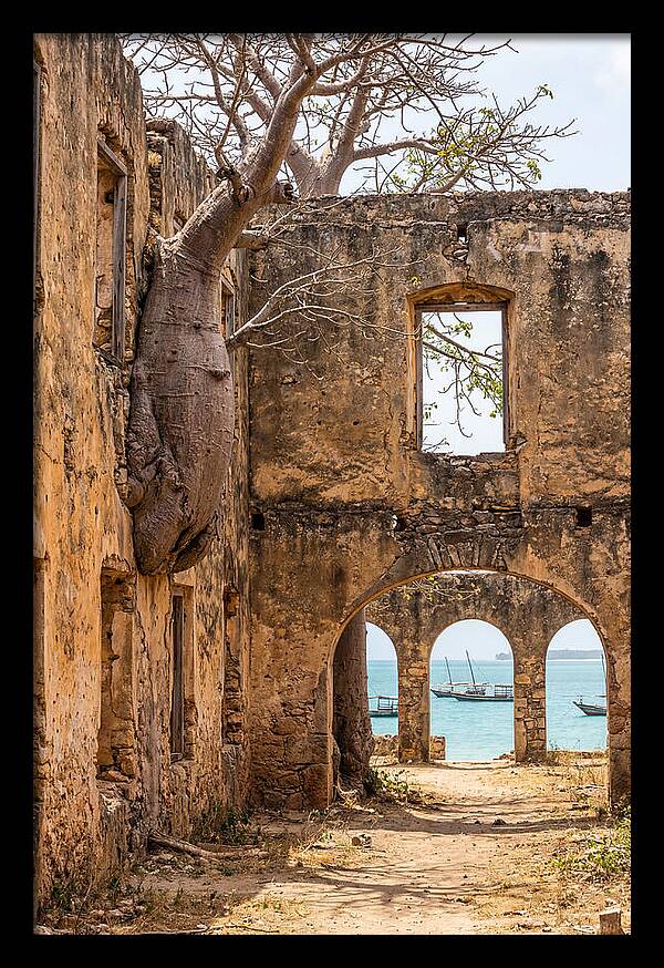 Ibo Island Ruins Embraced By Nature