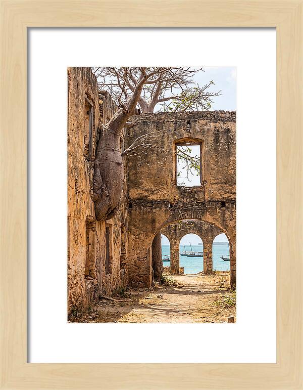 Ibo Island Ruins Embraced By Nature