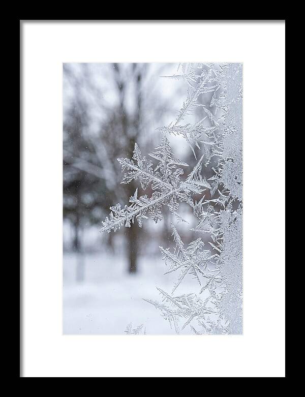 Ice Crystals On Glass