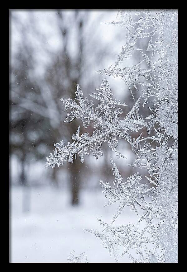 Ice Crystals On Glass