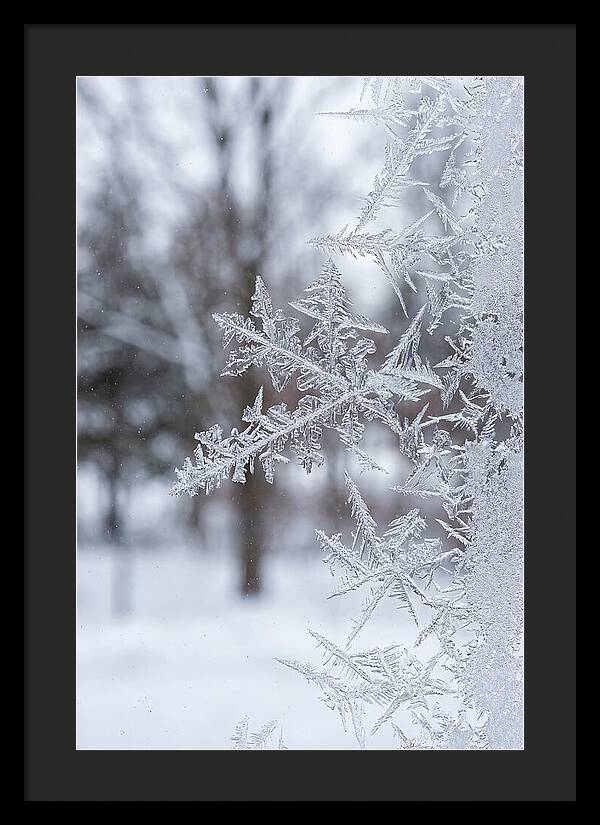 Ice Crystals On Glass