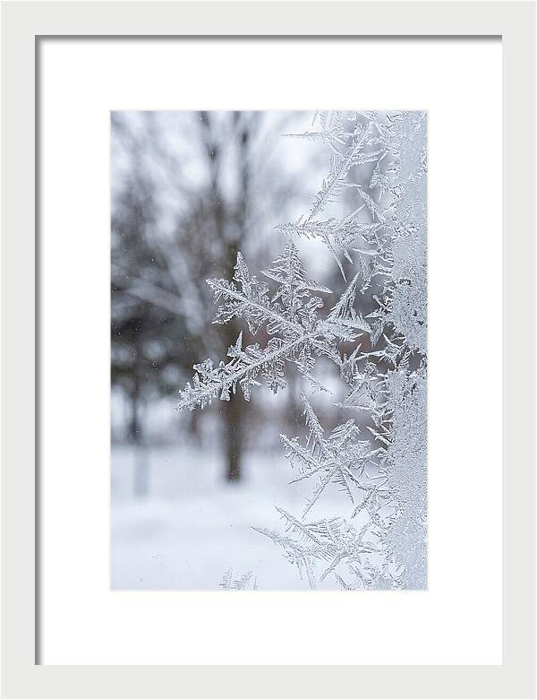 Ice Crystals On Glass