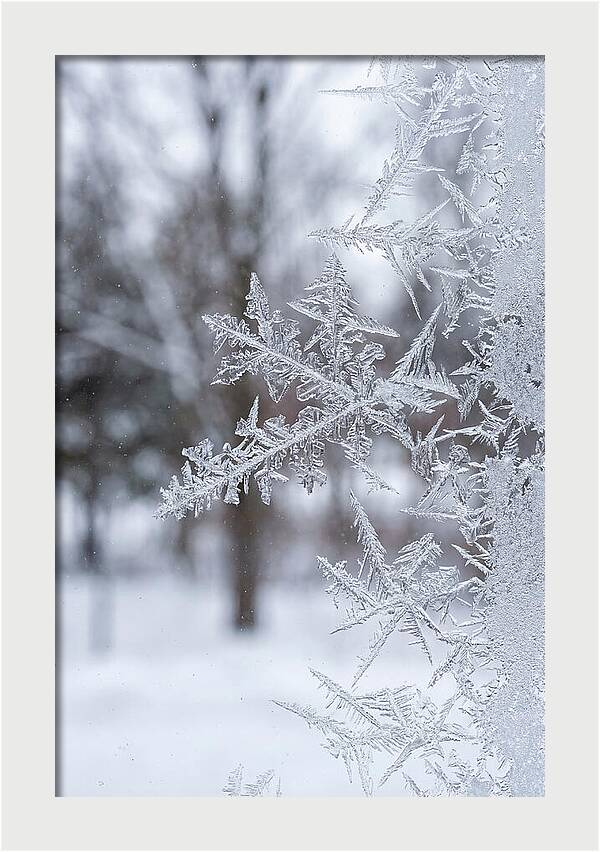 Ice Crystals On Glass