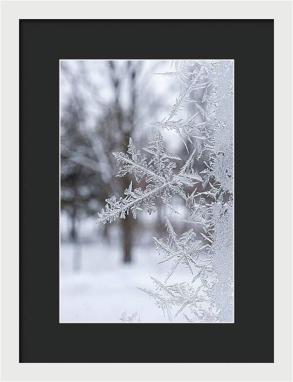 Ice Crystals On Glass