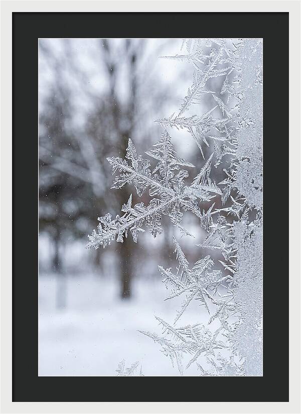 Ice Crystals On Glass