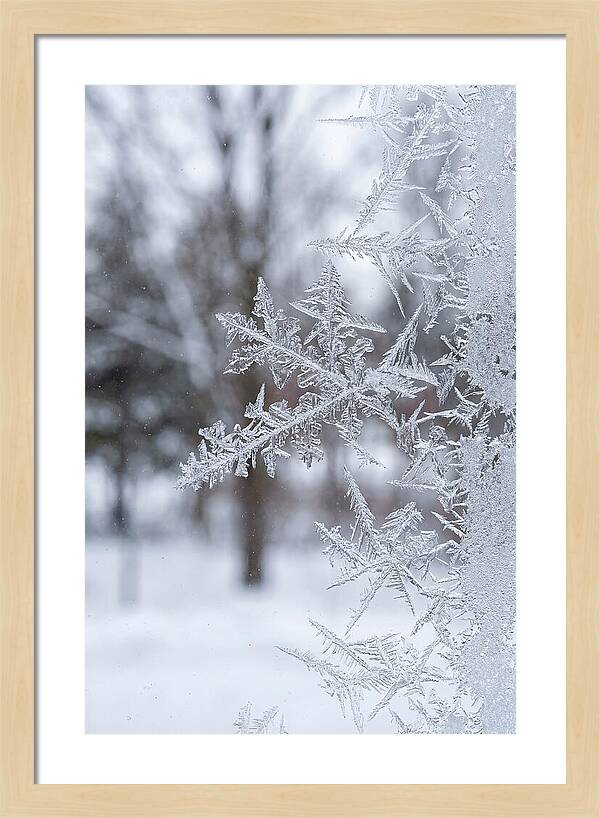 Ice Crystals On Glass