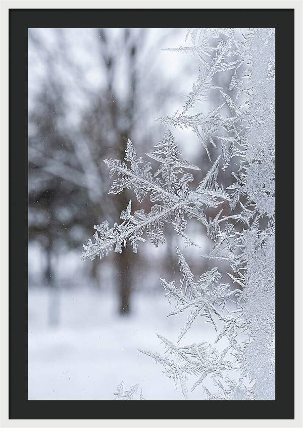 Ice Crystals On Glass