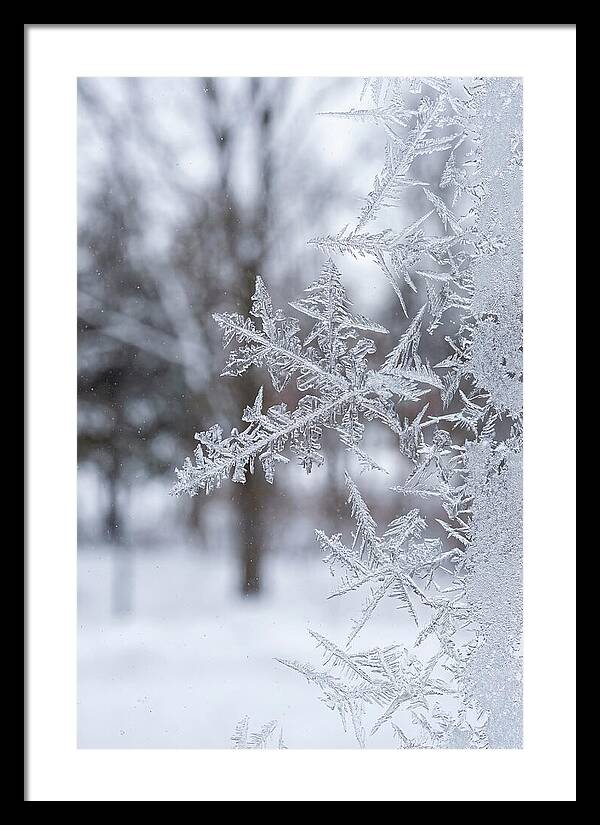 Ice Crystals On Glass