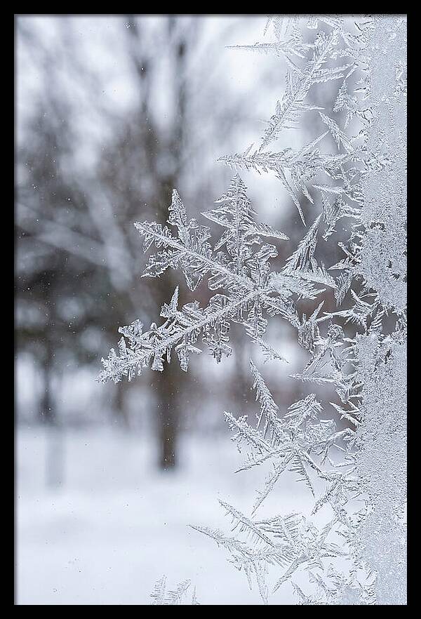Ice Crystals On Glass