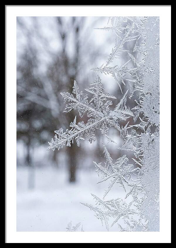 Ice Crystals On Glass