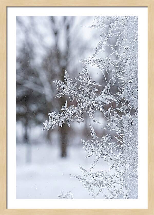 Ice Crystals On Glass