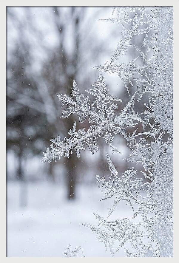 Ice Crystals On Glass