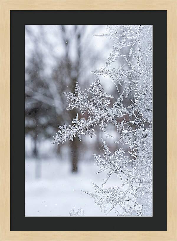 Ice Crystals On Glass