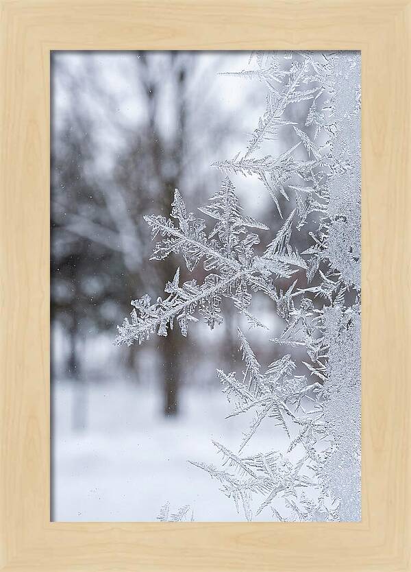 Ice Crystals On Glass