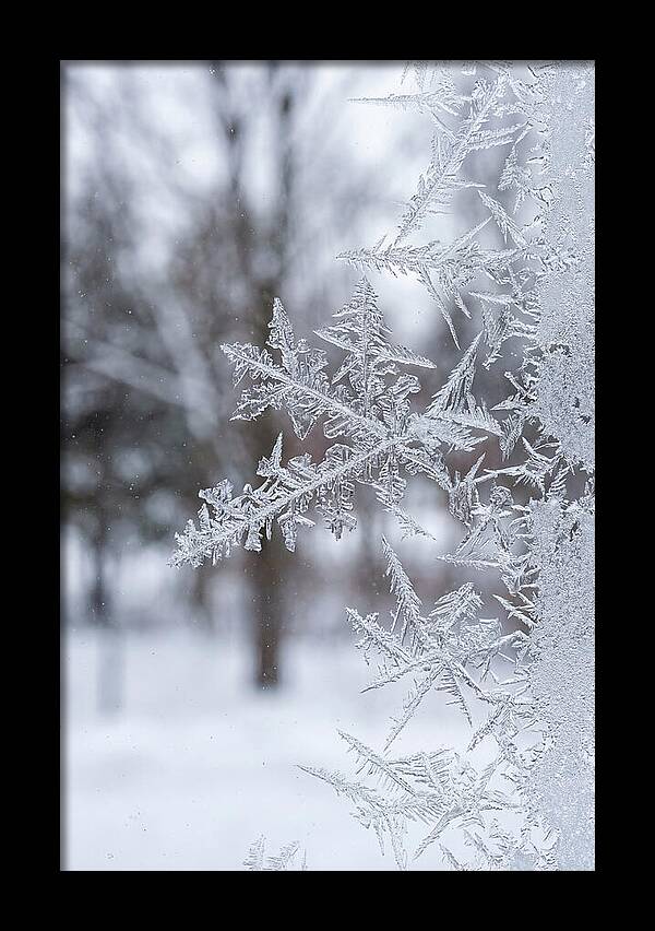 Ice Crystals On Glass