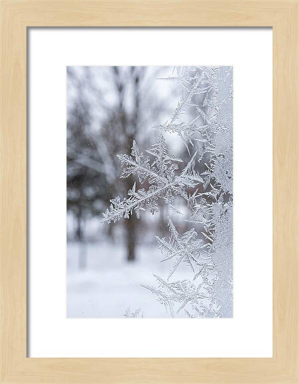 Ice Crystals On Glass