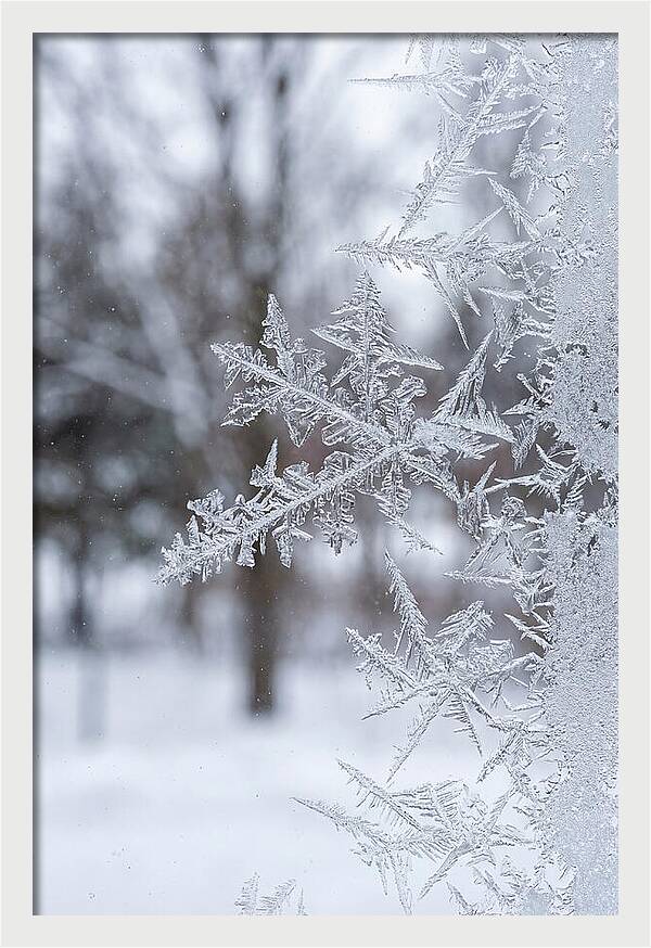 Ice Crystals On Glass