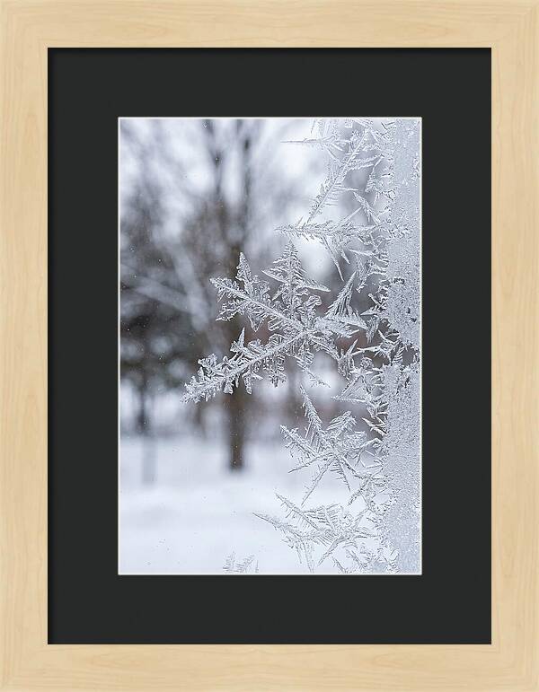 Ice Crystals On Glass
