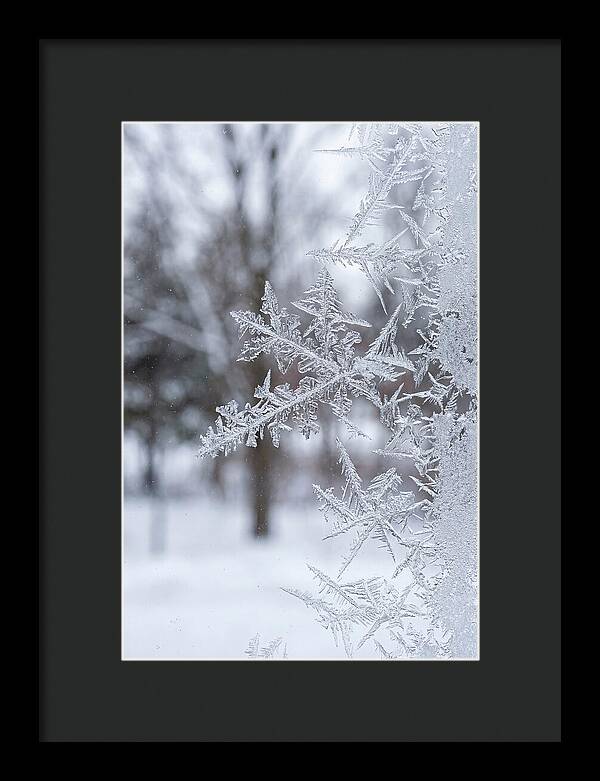 Ice Crystals On Glass