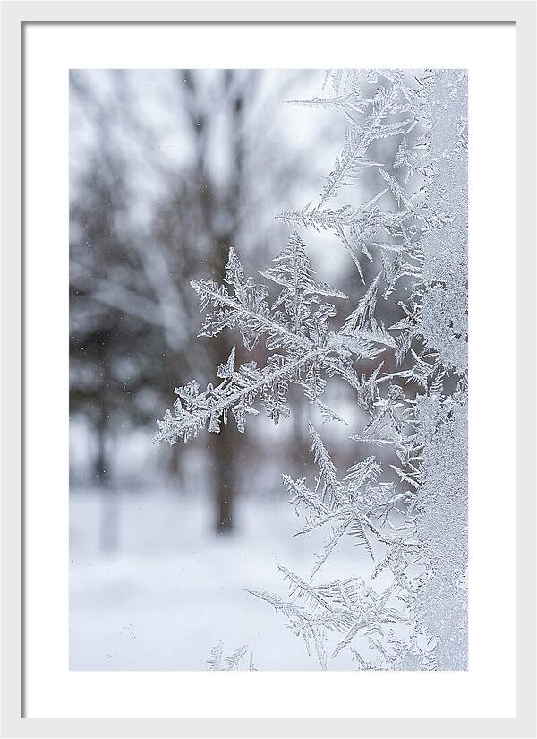 Ice Crystals On Glass