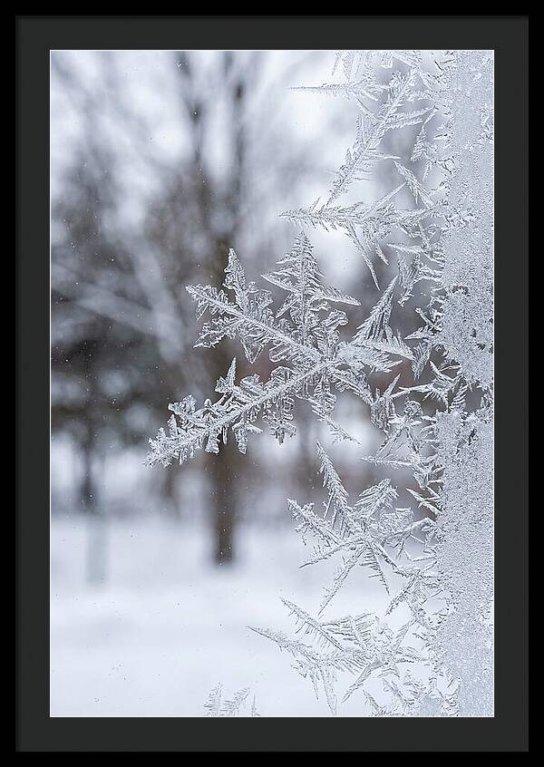 Ice Crystals On Glass