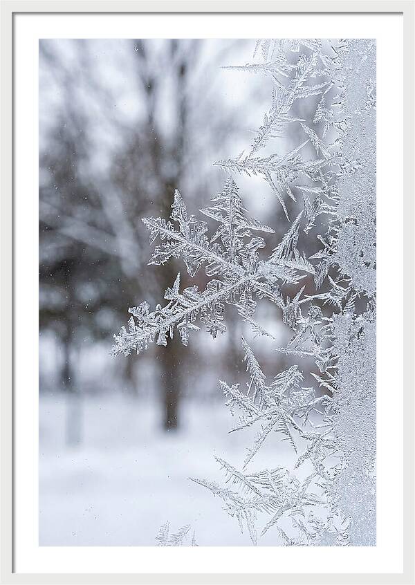 Ice Crystals On Glass