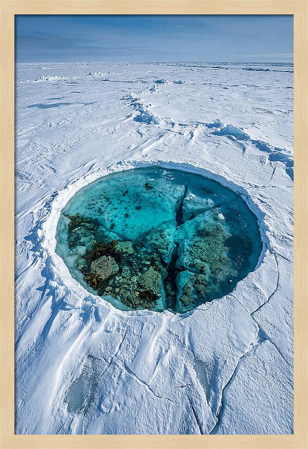 Ice Diving In The Arctic