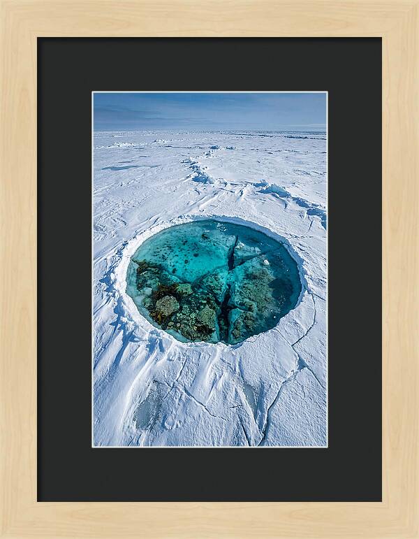 Ice Diving In The Arctic