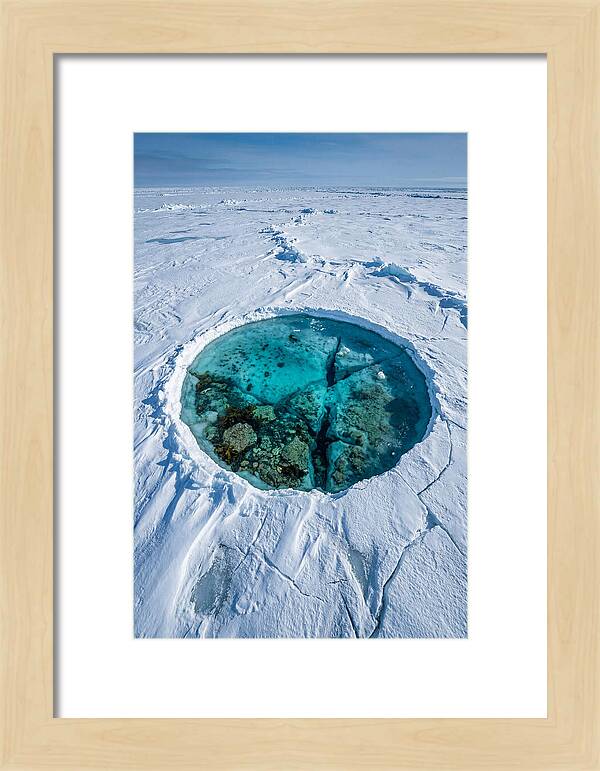 Ice Diving In The Arctic