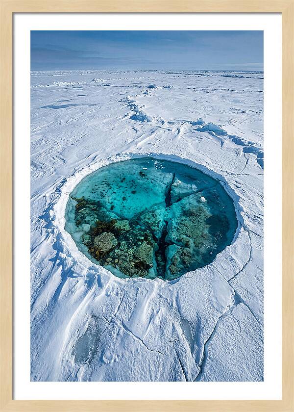 Ice Diving In The Arctic
