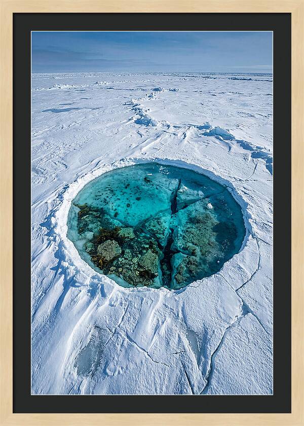 Ice Diving In The Arctic