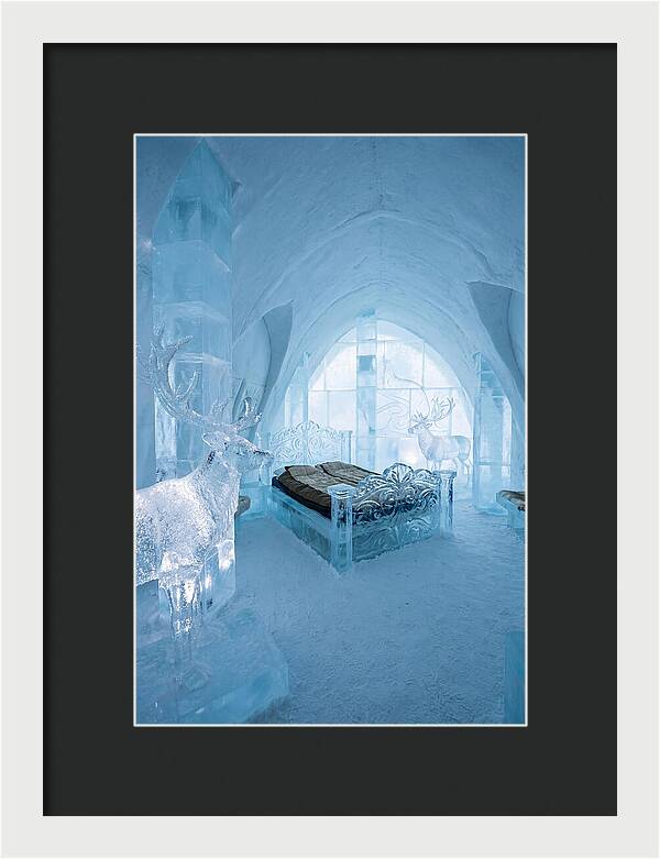 Ice Sculpture Room Serenity