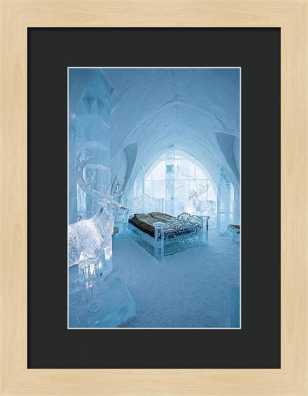 Ice Sculpture Room Serenity