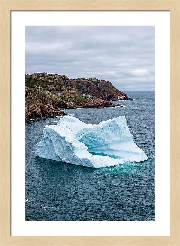 Iceberg Alley Serenity