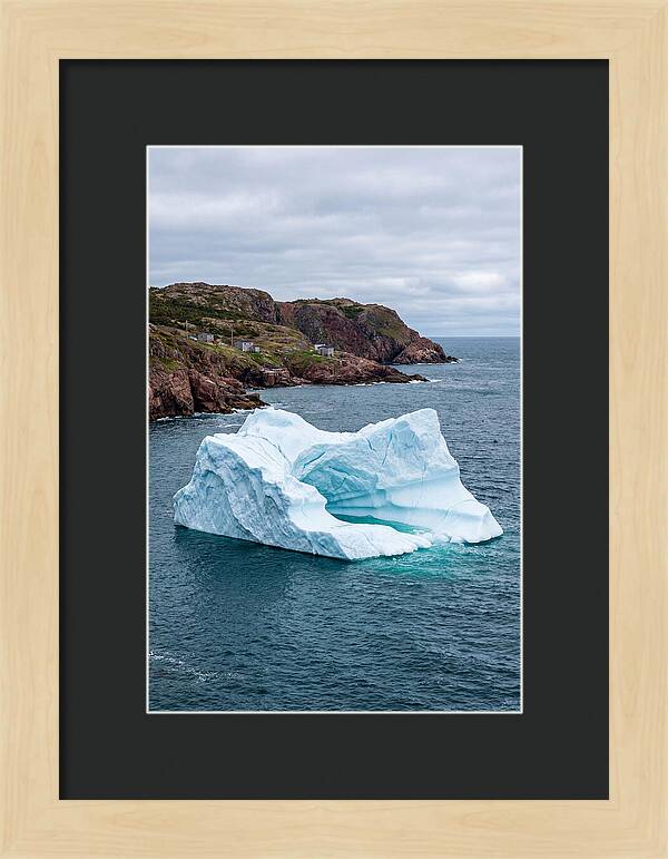 Iceberg Alley Serenity