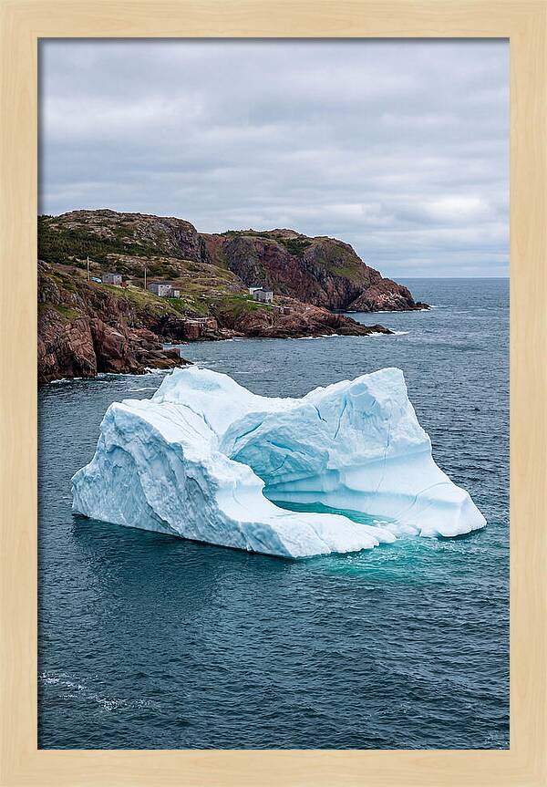 Iceberg Alley Serenity