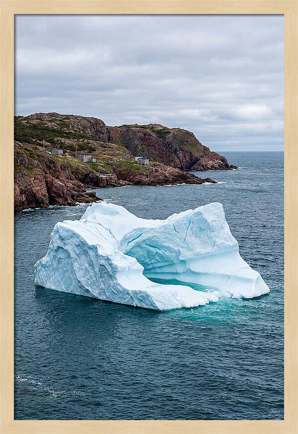 Iceberg Alley Serenity