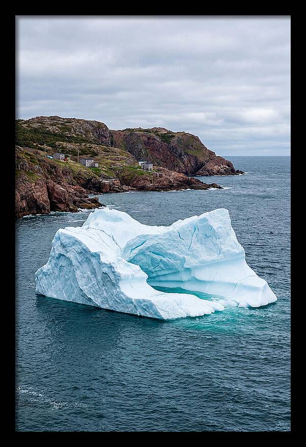 Iceberg Alley Serenity