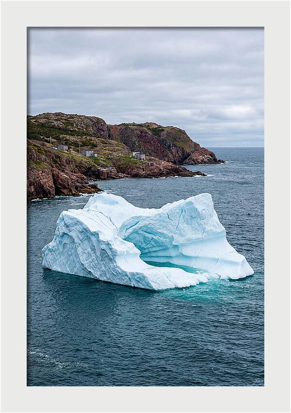 Iceberg Alley Serenity