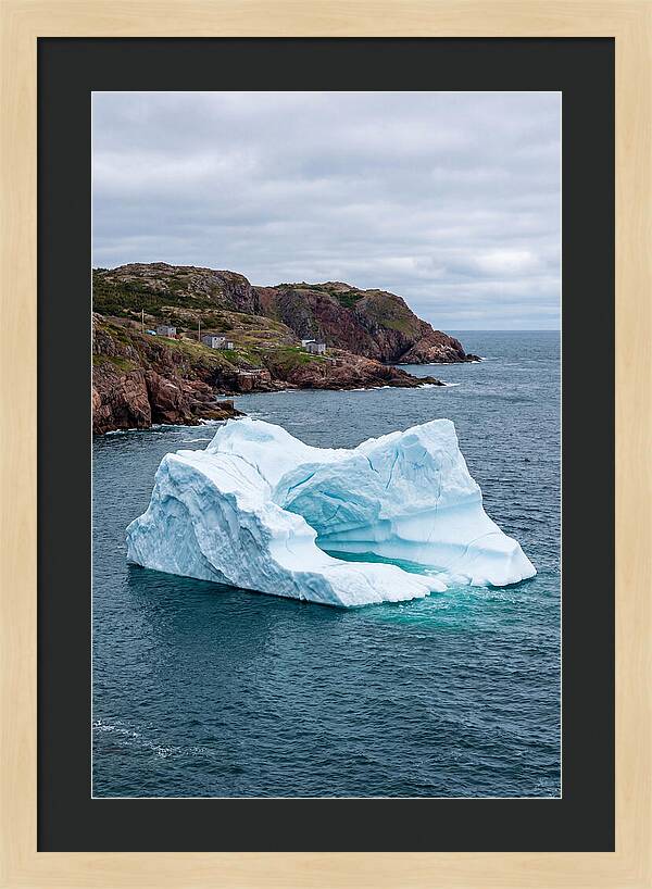 Iceberg Alley Serenity