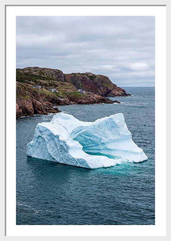 Iceberg Alley Serenity