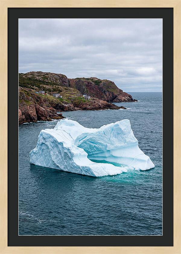 Iceberg Alley Serenity