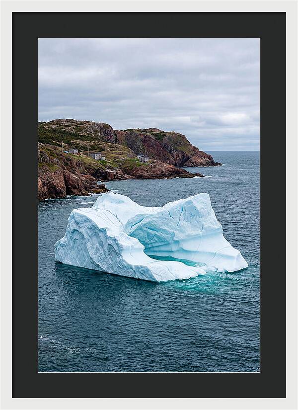 Iceberg Alley Serenity