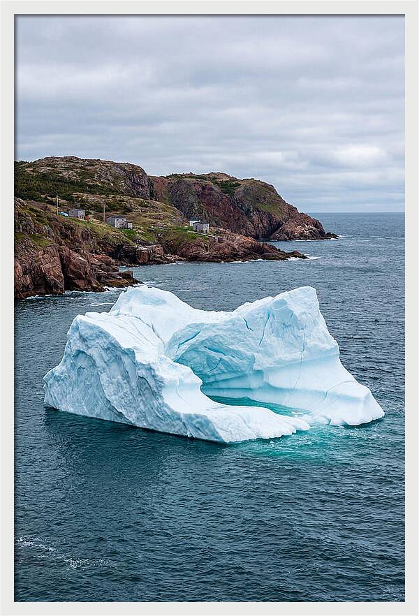 Iceberg Alley Serenity