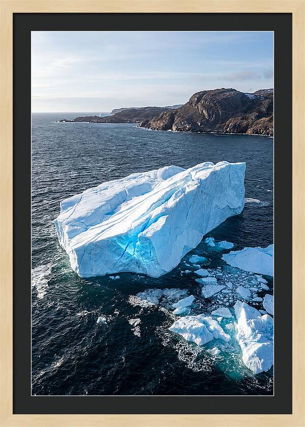 Iceberg Serenity In Iceberg Alley