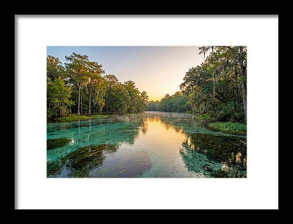 Ichetucknee River Serenity