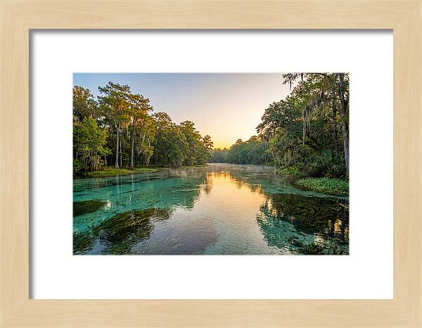 Ichetucknee River Serenity