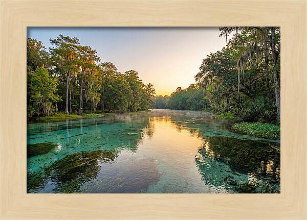 Ichetucknee River Serenity