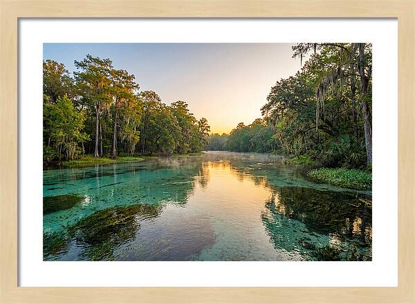 Ichetucknee River Serenity